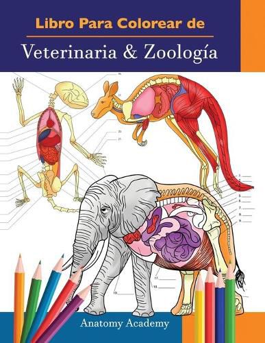 Cover image for Libro Para Colorear de Veterinaria & Zoologia: 2-en-1 Compilacion Libro de Colores de Anatomia Animal de Autoevaluacion Muy Detallado El Regalo Perfecto Para Estudiantes Veterinarios y Amantes de los Animales