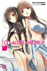 Cover image for Accel World, Vol. 17 (light novel)