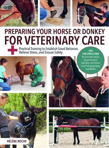 Cover image for Preparing Your Horse or Donkey for Veterinary Care