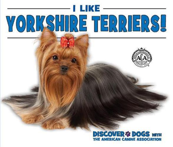 I Like Yorkshire Terriers!