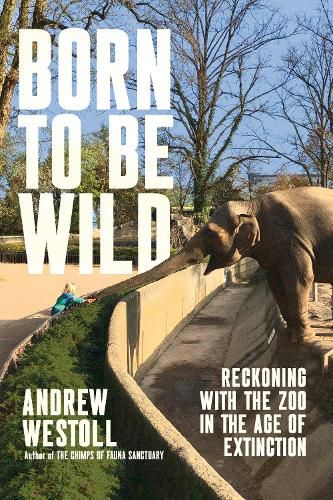 Cover image for Born to Be Wild