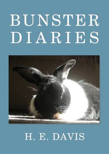 Cover image for Bunster Diaries