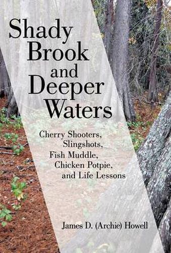 Cover image for Shady Brook and Deeper Waters