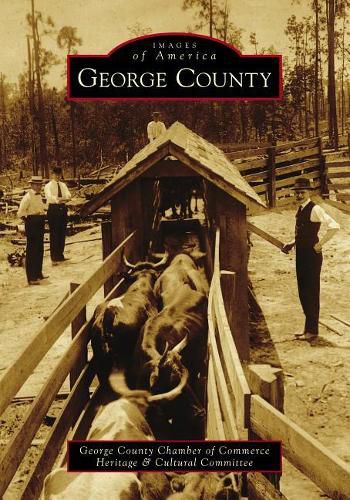 Cover image for George County