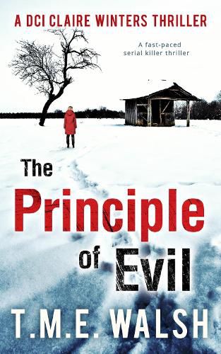 Cover image for The Principle Of Evil