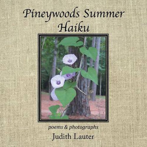 Pineywoods Summer Haiku: Poems and Photographs