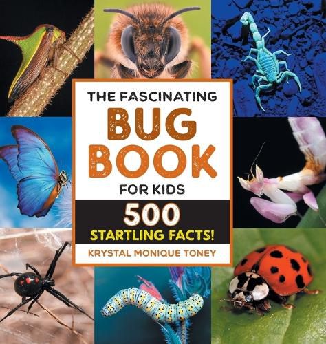 Cover image for The Fascinating Bug Book for Kids: 500 Startling Facts!