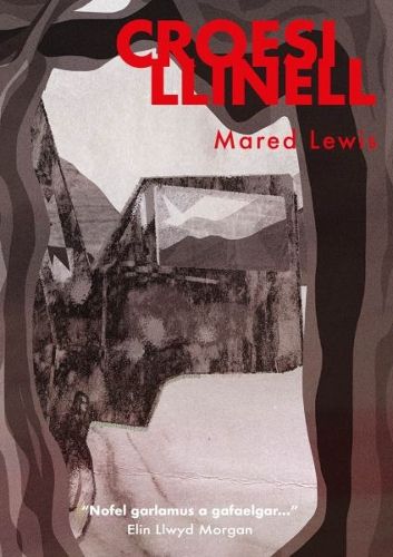 Cover image for Croesi Llinell