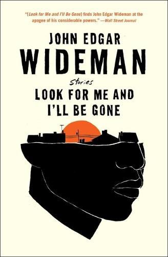 Cover image for Look for Me and I'll Be Gone: Stories