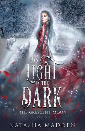 Cover image for His Light in the Dark