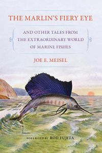 Cover image for The Marlin's Fiery Eye and Other Tales from the Extraordinary World of Marine Fishes