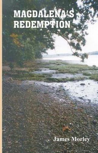 Cover image for Magdalena's Redemption