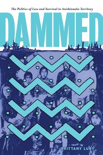 Cover image for Dammed: The Politics of Loss and Survival in Anishinaabe Territory