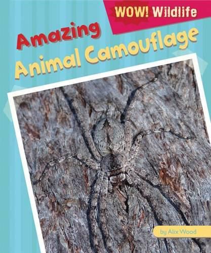 Cover image for Amazing Animal Camouflage