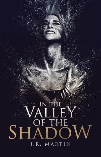 Cover image for In the Valley of the Shadow