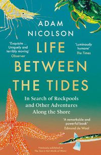 Cover image for Life Between the Tides: In Search of Rockpools and Other Adventures Along the Shore