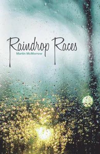 Cover image for Raindrop Races