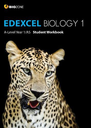 Cover image for EDEXCEL Biology 1 A-Level 1/AS Student Workbook