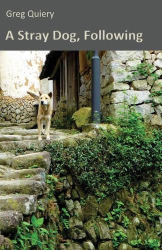 Cover image for A Stray Dog, Following