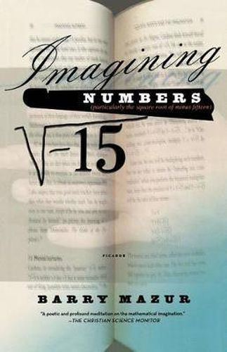 Cover image for Imagining Numbers