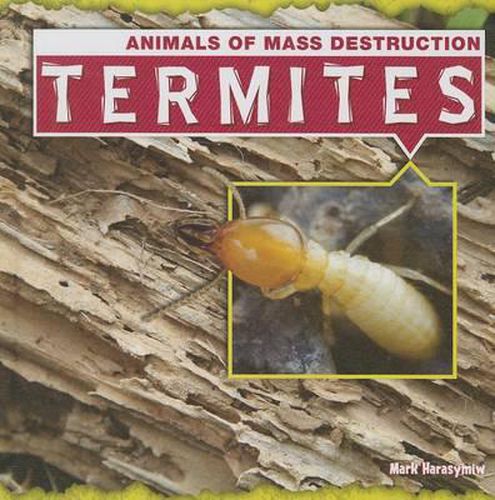 Cover image for Termites