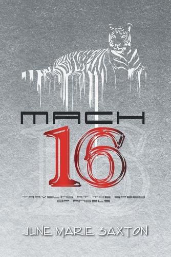 Cover image for Mach 16