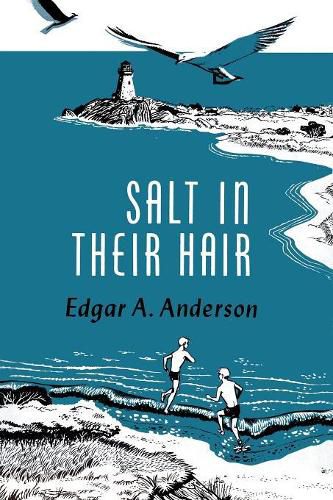 Cover image for Salt in Their Hair