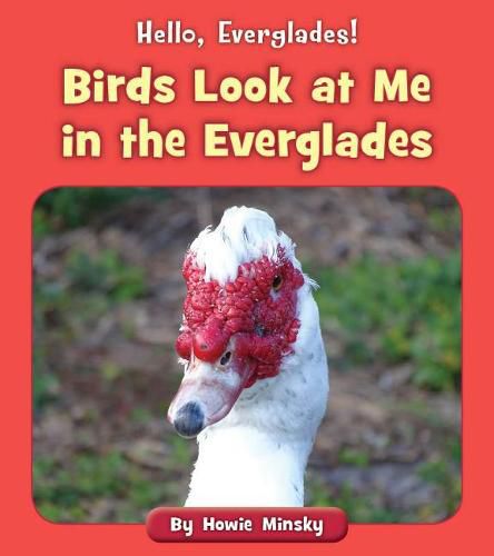 Cover image for Birds Look at Me in the Everglades