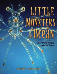 Cover image for Little Monsters of the Ocean