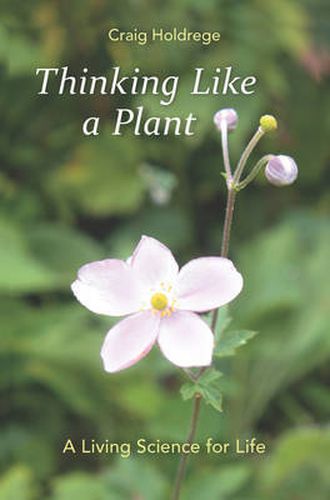 Cover image for Thinking Like a Plant: A Living Science for Life