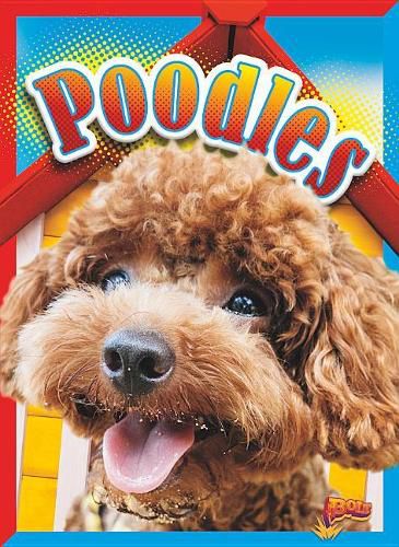 Cover image for Poodles