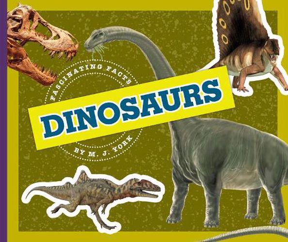 Cover image for Dinosaurs