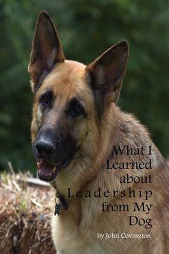 Cover image for What I Learned About Leadership From My Dog