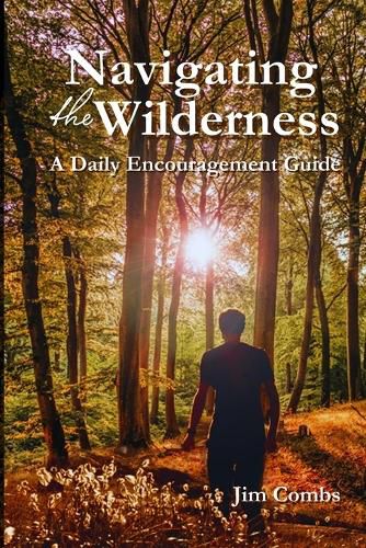 Cover image for Navigating the Wilderness