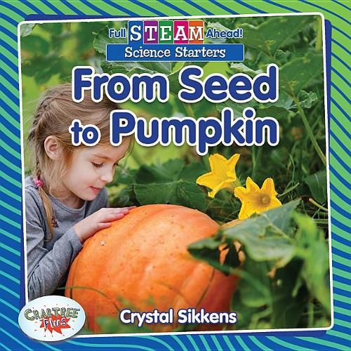 Cover image for From Seed to Pumpkin