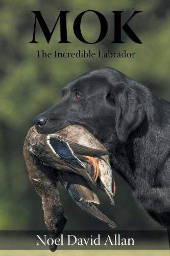 Cover image for Mok: The Incredible Labrador