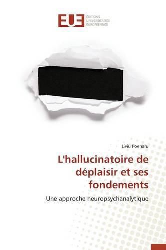 Cover image for L'Hallucinatoire de D plaisir Et Ses Fondements