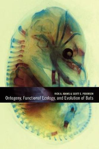 Cover image for Ontogeny, Functional Ecology, and Evolution of Bats