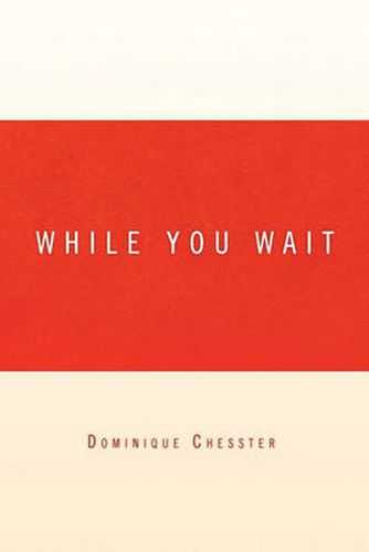 Cover image for While You Wait