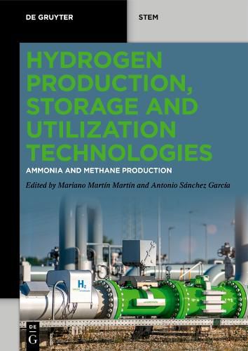Cover image for Hydrogen Production, Storage and Utilization Technologies