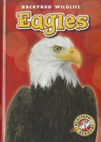 Cover image for Eagles