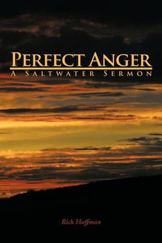 Cover image for Perfect Anger