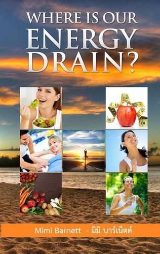 Cover image for Where is our energy drain?