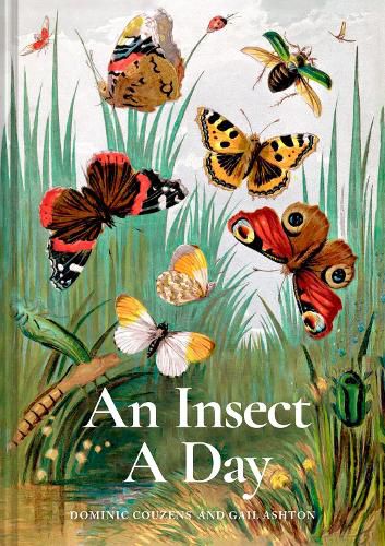 An Insect A Day: Volume 6