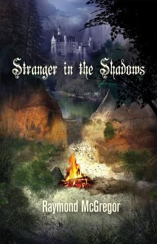 Cover image for Stranger in the Shadows