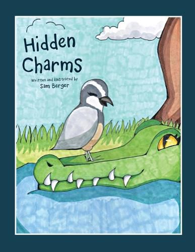 Cover image for Hidden Charms