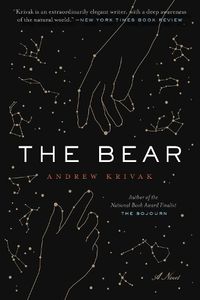 Cover image for The Bear