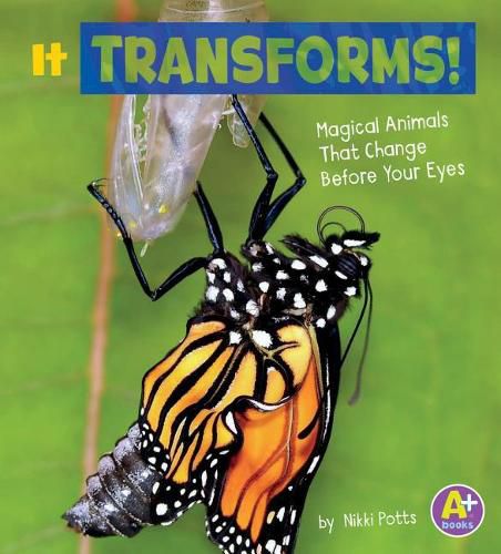 Cover image for It Transforms!: Magical Animals That Change Before Your Eyes