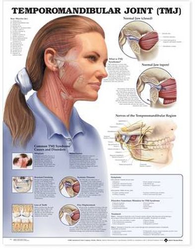 Cover image for Temporomandibular Joint (TMJ) Anatomical Chart