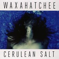 Cover image for Cerulean Salt